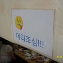 울릉도꽃새우 이미지