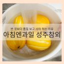 황금알마트 | 아침엔과일 가정용 성주참외, 싼 것보다 품질 보고 사야 하는 이유