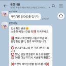 문캣네일 네이버블로그