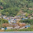 섬진강 매화 나루 이미지