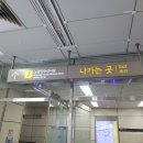 노량진 수산시장 킹크랩 시세 주말 대신씨월드 찜포장 내돈내산 후기