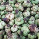 충영농장 이미지