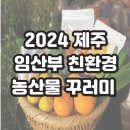 2024 제주 임산부 친환경 농산물 꾸러미 구매 후기│생드르영농조합법인
