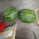 아동2통 이미지