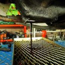 오일타운 이미지