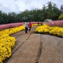 익산행복약국 이미지