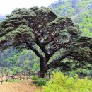 산솔마을 이미지