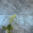 공원로333번길 | [성남 오마카세] 스시 스야무 오마카세 평일 런치 후기 ㅣ주차 정보ㅣ후토마끼 맛집ㅣ부부 생일 데이트