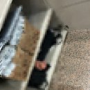수지투어주