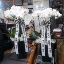 송생초등학교 이미지