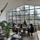 숲속에놀이터민박 이미지