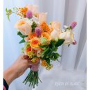 리원드블랑