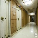 필림37.2 이미지