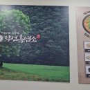 전주보양식 흑염소전문점 염소탕가격 맛 후기