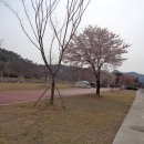 율리천 Daum카페