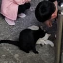 덕산1 | [덕산맛집] 리솜스플라스 도보 1분 거리! 가야참갈비 돼지갈비 솔직 후기🍖