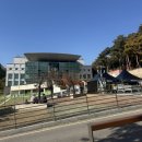 용산 제2체육관 | ZFN03 경기 R석 직관 후기 :: 파계승 고동완, 나비...최세훈, 그리고 맥스 할로웨이 @고려대 화정체육관