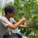 규남농장 이미지