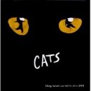 캣츠 - 북구 유통단지로8길 70 | 🎭🐱 캣츠(Cats) 줄거리 · 결말 · 등장인물 · OST · 영화 후기