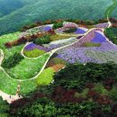 아산온천로 이미지