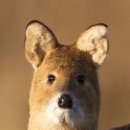 궁전이야기 이미지