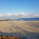 오션스테이 이미지