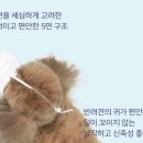 멍스크