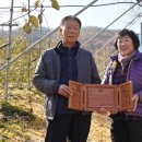 산처럼영농조합법인 | 화령 사과의 개척자, 김응철 전 팔봉산사과영농조합법인 대표