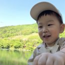 하늘보리피자 수월점 | ​대전 근교 아이랑 갈만한곳! 금산 하늘물빛정원 리뉴얼 후기 (feat. 가구디자이너 엄마의 시선)