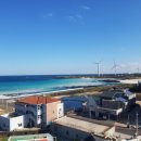 제주김녕한달 이미지