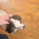 청두곶6길 6 (1) 이미지