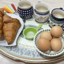 디어마이펫 이미지