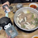 수빈패션 | 크리스챤 디올 전시회 [디자이너 오브 드림스]