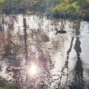 똑똑한 미디어 놀이터 | [부산아이랑가볼만한곳 EP.5] 삼락공원 자전거대여 총정리