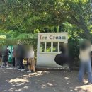 [거제] 외도 보타니아 : 여름에! 아기와! 가신다면 필독, 솔직한 현실 후기