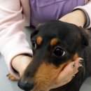 손수의과병원 이미지