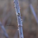 종복농장 이미지