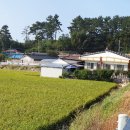 신석리경로당 이미지