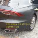 뉴월드덴트 이미지