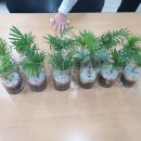 중구백합주간보호센터 이미지