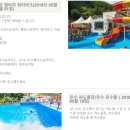 어린왕자의나무별 이미지