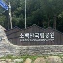 떠나요 여름휴가 3🎉 (feat. 영주댐 용마루2공원 출렁다리, 분천역 산타마을)