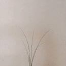 쉽게 그리는 천아트 이미지