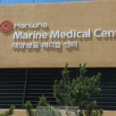 제주동물메디컬센터 이미지