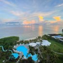 행정사사무소 고려 이미지