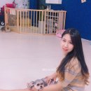 해피하개 이미지