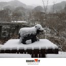 고향마을 이미지