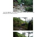 버디퍼피 네이버블로그