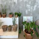 열두달애월 이미지