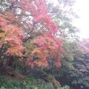축령산풍경